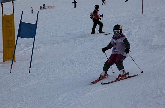 Tullnerbacher Skimeisterschaft 2019